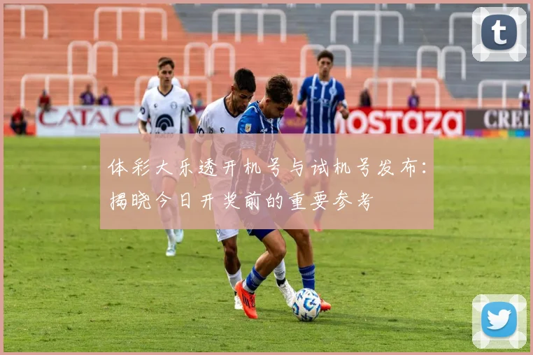 体彩大乐透开机号与试机号发布:揭晓今日开奖前的重要参考