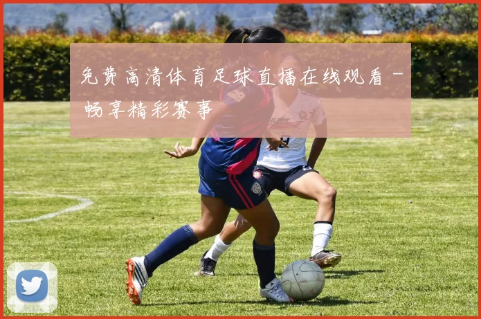 免费高清体育足球直播在线观看 - 畅享精彩赛事