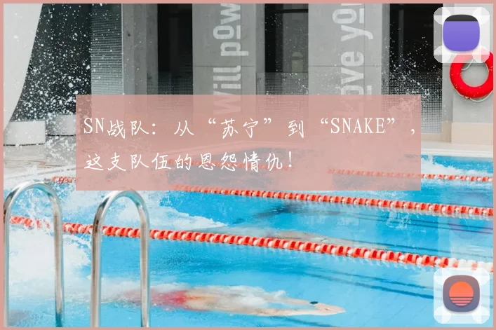 SN战队:从“苏宁”到“SNAKE”,这支队伍的恩怨情仇!