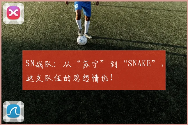 SN战队:从“苏宁”到“SNAKE”,这支队伍的恩怨情仇!