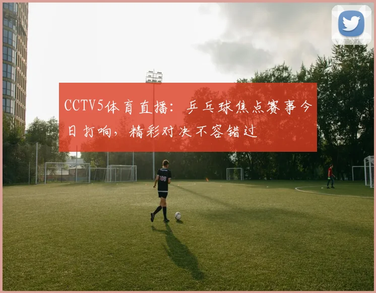 CCTV5体育直播：乒乓球焦点赛事今日打响，精彩对决不容错过